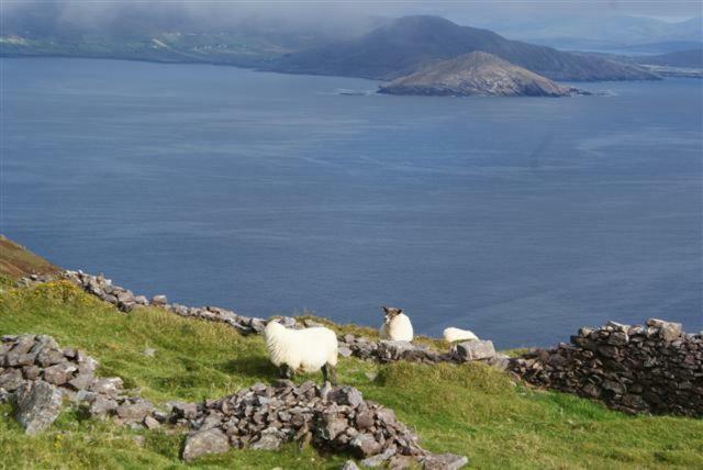 Rose cottage Ballinskelligs Exteriör bild