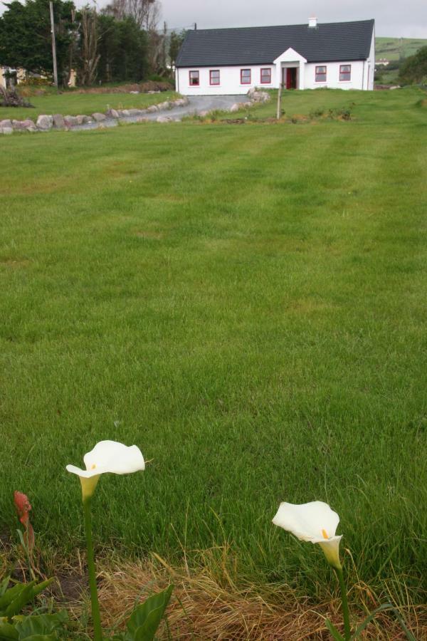 Rose cottage Ballinskelligs Exteriör bild